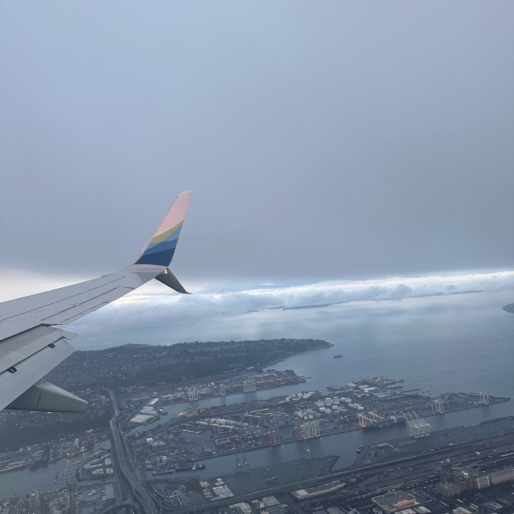 ANNOUNCEMENT: 20% OFF EVRY JEWELS PURCHASE.